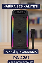 Yüksek Ses Güçlü Kablosuz Hoparlör  Karaoke Mikrofonlu