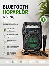 Bluetooth Hoparlör Mikrofonlu Taşınabilir Ses Sistemi FM Radyo, USB, SD Kart ve TWS Özellikli