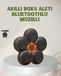 Bluetoothlu Akıllı Boks Antrenman Cihazı Işıklı Hedefli Kardiyo ve Fitness Aleti
