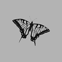 Ahşap İşleme Duvar Süsü- Kelebek - 50 cm x 30 cm