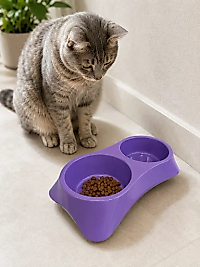 İkili Model Beton Kedi Köpek Mama ve Su Kabı (24cm × 12cm × 5cm) - Mor