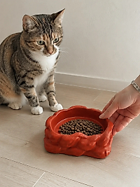 Eko Form Model Beton Kedi Köpek Mama ve Su Kabı (16cm*16cm*5.5cm) - Kiremit