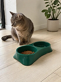 İkili Model Beton Kedi Köpek Mama ve Su Kabı (24cm × 12cm × 5cm) - Yeşil