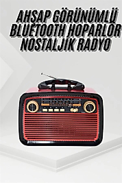 Nostalji Radyo Bluetooth Hoparlör USB-SD Kart Giriş Led Fener Işıklı Bataryalı Pilli