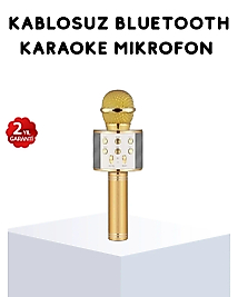 Karaoke Mikrofonu Bluetooth USB AUX Girişli Yankı Efektli