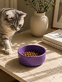 Kase Model Beton Kedi Köpek Mama ve Su Kabı (15cm çap × 5cm) - Mor