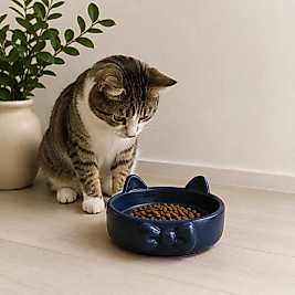 Papyon Model Beton Kedi Köpek Mama ve Su Kabı 16 cm çap - Lacivert