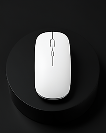 PG-908 KABLOSUZ MOUSE BEYAZ