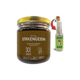 IBN-İ SİNA SİRKENGEBİN: 1 ADET BALLI SİRKELİ SARIMSAKLI AROMATİK PREBİYOTİK MACUN + 30 ML ÇÖREK OTU MASAJ YAĞI