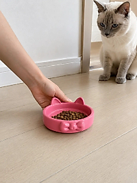 Papyon Model Beton Kedi Köpek Mama ve Su Kabı 16 cm çap - Pembe