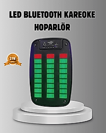 GTS 1793 Işıklı 6.5 İnç Kablosuz Hoparlör Bluetooth, USB ve FM Özellikli
