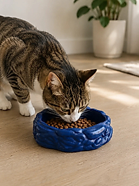 Eko Form Model Beton Kedi Köpek Mama ve Su Kabı (16cm*16cm*5.5cm) - Lacivert