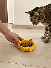 Papyon Model Beton Kedi Köpek Mama ve Su Kabı 16 cm çap - Bronz