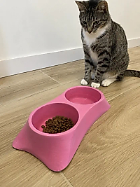 İkili Model Beton Kedi Köpek Mama ve Su Kabı (24cm × 12cm × 5cm) - Pembe