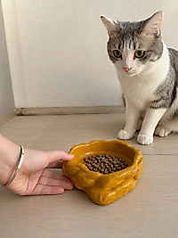 Eko Form Model Beton Kedi Köpek Mama ve Su Kabı (16cm*16cm*5.5cm) - Bronz