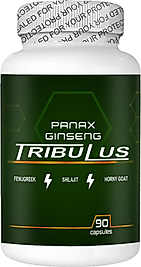 PANAX: 1 ADET PANAX GİNSENG TRİBULUSLU FENUGREEKLİ SHİLAJİTLİ HORNYGOATLI 90 LI ERKEKLERE ÖZEL KAPSÜLLER