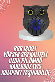Müzik Çalar Bluetooth Hoparlör Speaker 5.0 Kablosuz Baykuş Görünümlü