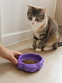 Eko Form Model Beton Kedi Köpek Mama ve Su Kabı (16cm*16cm*5.5cm) - Mor
