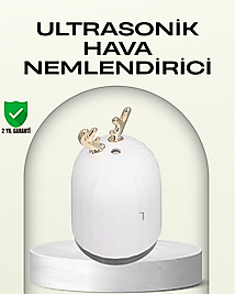 ABS+PP Malzemeli Taşınabilir 220 ml USB Mist Nemlendirici