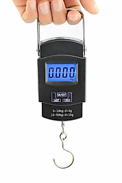 Dijital El Kantarı 50 Kg Hassas LCD Ekranlı Bagaj Tartısı