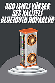 Bluetooth Hoparlör Şeffaf Mecha RGB Işıklı Çift Hoparlör 5.0 Bluetooth