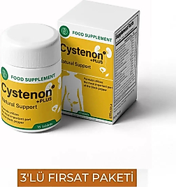 CYSTENON ERKEKLERİN ÖZEL 15 Lİ KAPS X 3 ADET
