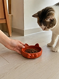 Papyon Model Beton Kedi Köpek Mama ve Su Kabı 16 cm çap - Kiremit