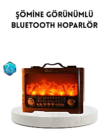 Şömine Efektli Solar Hoparlör Bluetooth 5.3 Radyo AUX USB TF Destekli