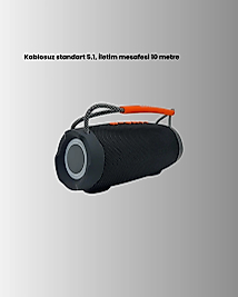 RGB LED Taşınabilir Kablosuz Hoparlör