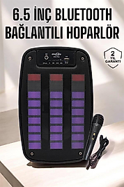 Bluetooth Hoparlör RGB Işıklı USB SD Kart Girişli Taşınabilir