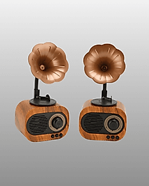 Kablosuz Retro Radyo Hoparlör 5W USB Hafıza Kartlı UCZZZB5RAYO-8