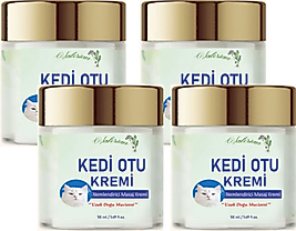 KEDİ OTU KREMİ A-45 4TANE 50 ML KAFUR AĞACI YAĞLI PAİNCREAM AGRİKREMİ