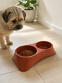 İkili Model Beton Kedi Köpek Mama ve Su Kabı (24cm × 12cm × 5cm) - Kiremit