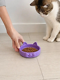 Papyon Model Beton Kedi Köpek Mama ve Su Kabı 16 cm çap - Mor