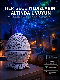 Yumurta Görünümlü Masa ve Gece Lambası Renk Değiştirebilen Projektör