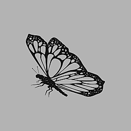 Ahşap İşleme Duvar Süsü- Kelebek - 50 cm x 30 cm