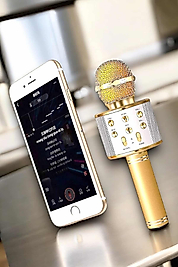 Şarjlı Karaoke Mikrofon USB Bellek Destekli UCZKARAOKEMİKROFON4