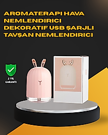 USB Bağlantılı Sessiz Çalışan LED Işıklı Nemlendirici Difüzör 200 ml