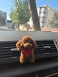 Araç Süsü,Torpido Aksesuarı- Kaniş