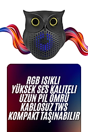 Baykuş Tasarımlı Mini Bluetooth Speaker Yüksek Ses Kaliteli Taşınabilir